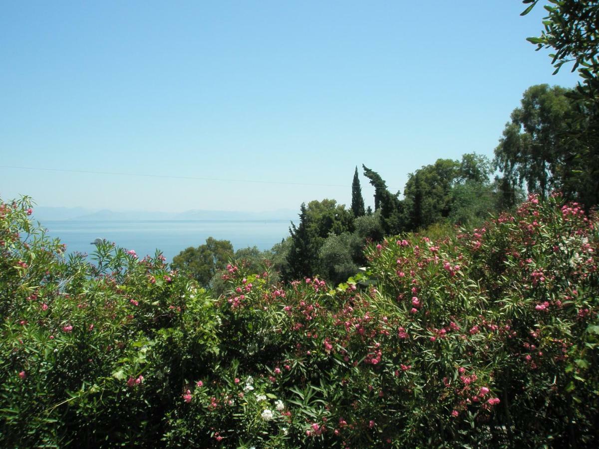 Faliraki Benitses (Corfu)