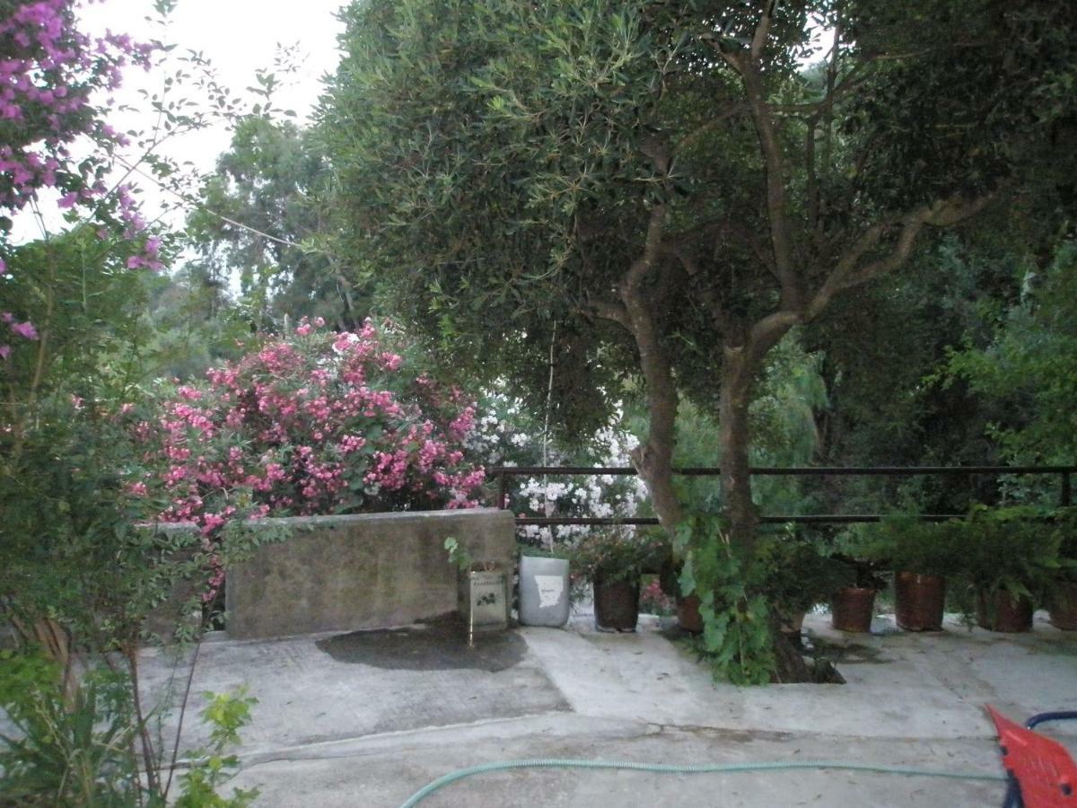 Aparthotel Faliraki *