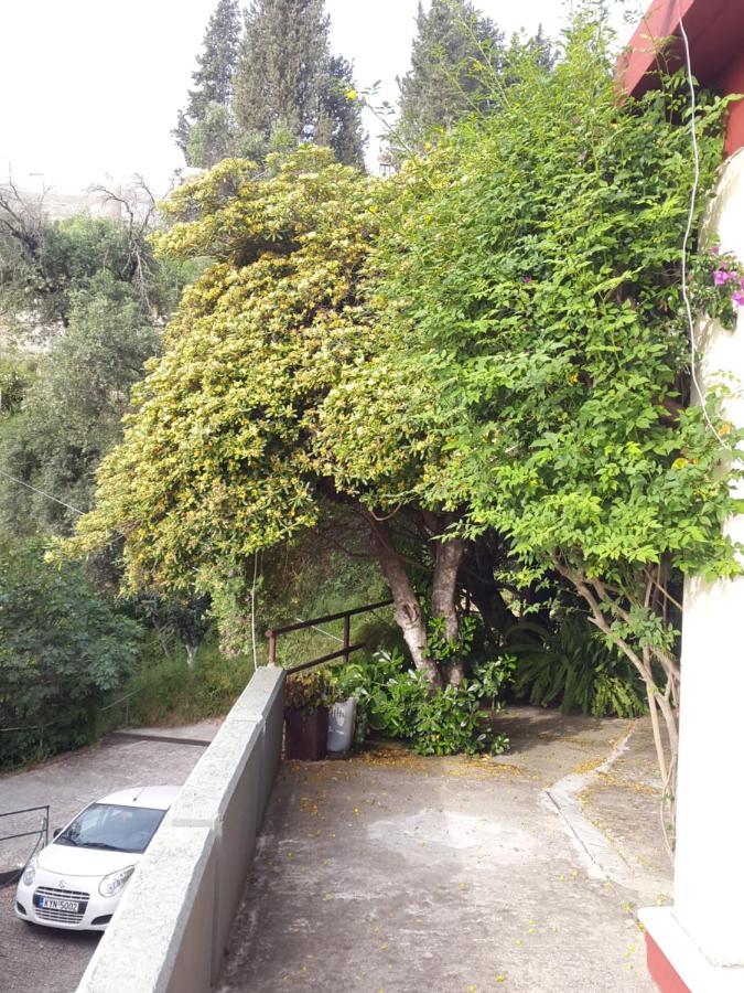 Aparthotel Faliraki Benitses (Corfu)
