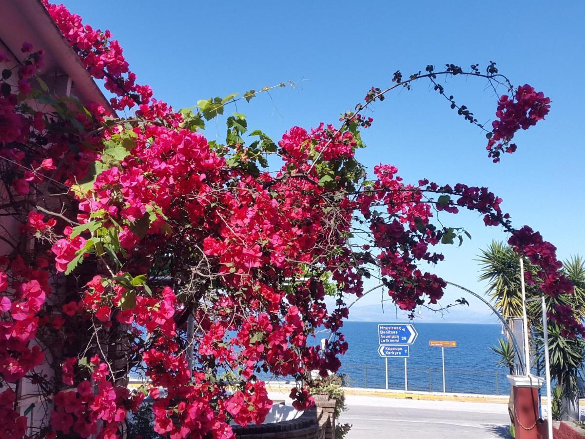 Faliraki * Benitses (Corfu)