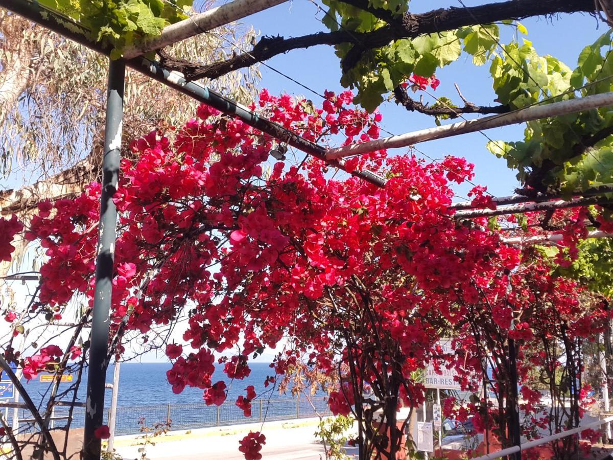 Faliraki *